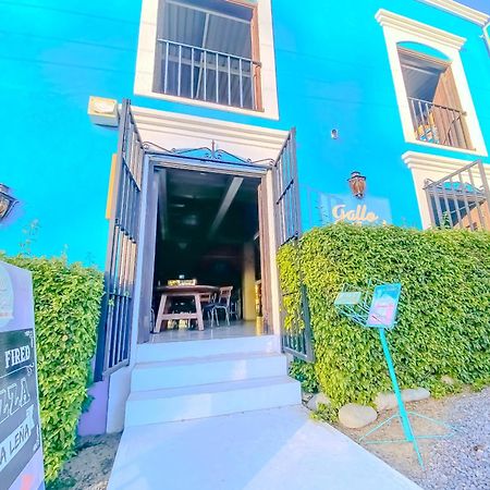 Gallo Azul Hotel, En El Corazon De Todos Santos Exteriér fotografie