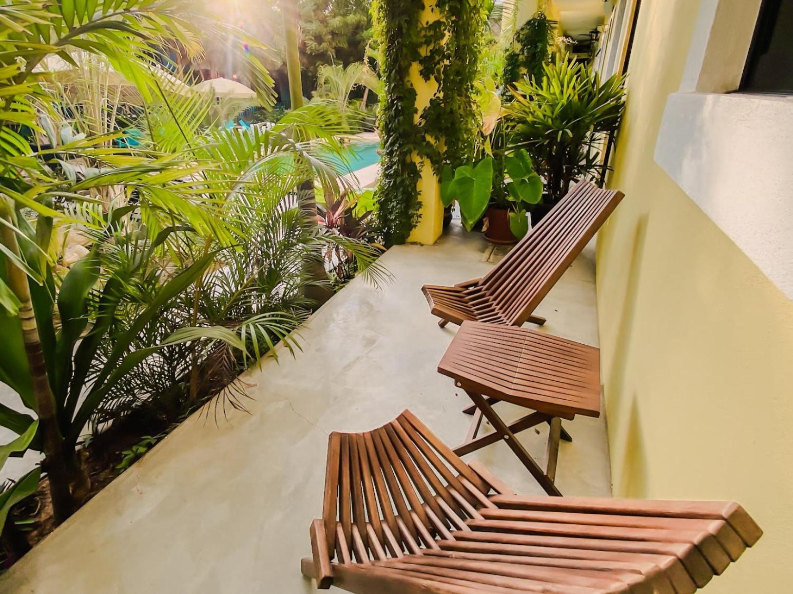 Gallo Azul Hotel, En El Corazon De Todos Santos Exteriér fotografie