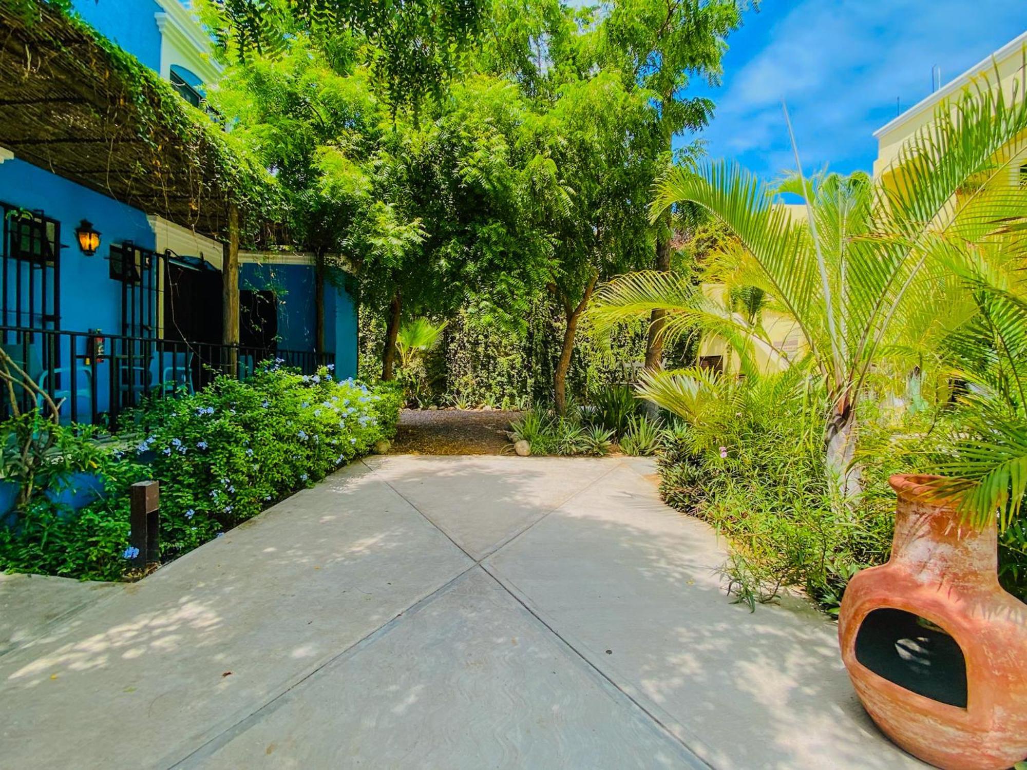 Gallo Azul Hotel, En El Corazon De Todos Santos Exteriér fotografie