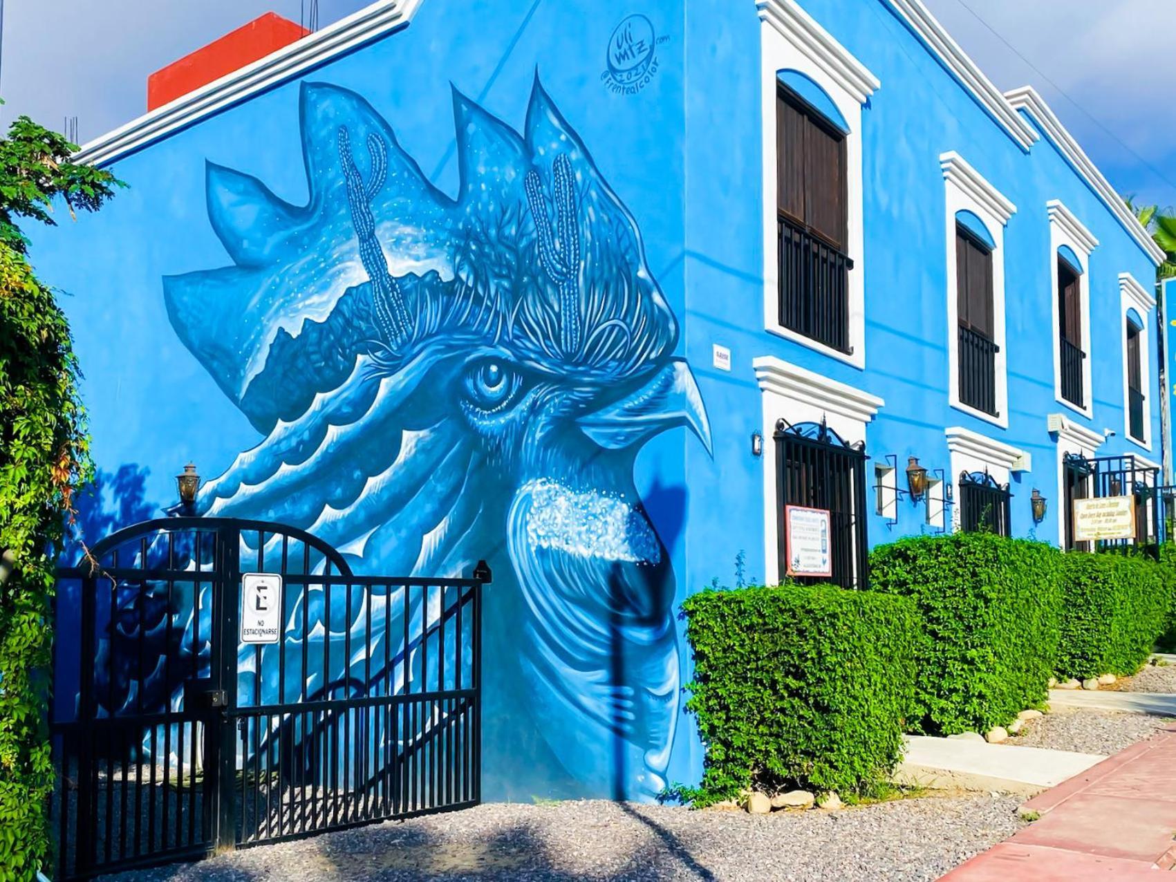 Gallo Azul Hotel, En El Corazon De Todos Santos Exteriér fotografie