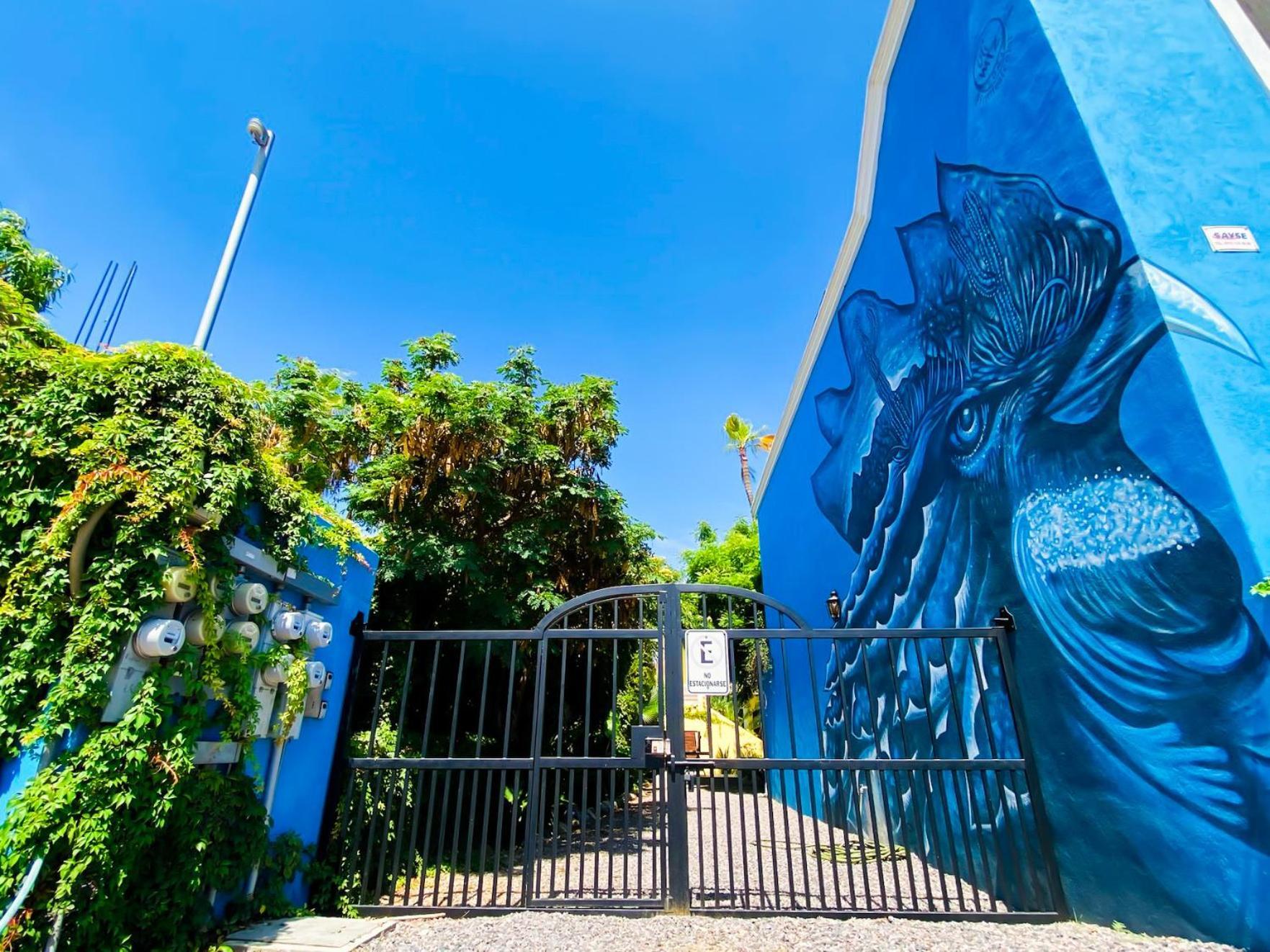 Gallo Azul Hotel, En El Corazon De Todos Santos Exteriér fotografie