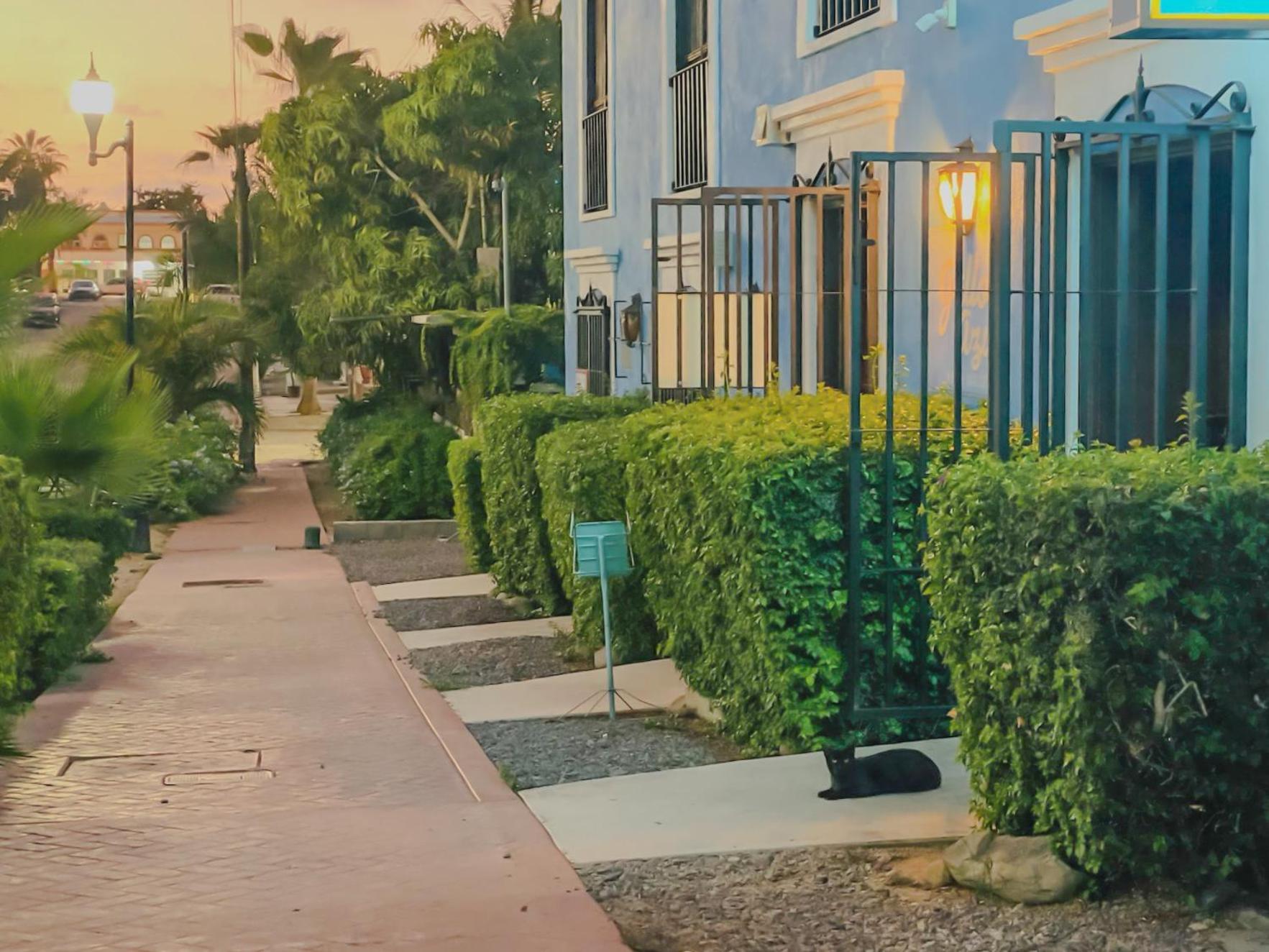 Gallo Azul Hotel, En El Corazon De Todos Santos Exteriér fotografie