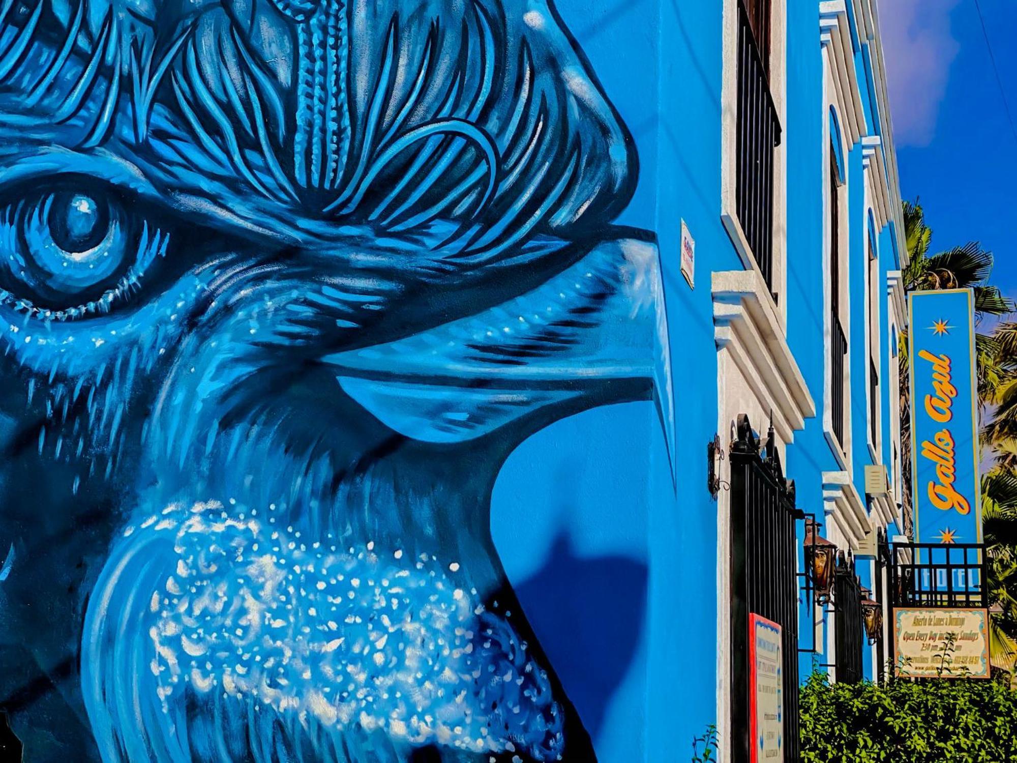 Gallo Azul Hotel, En El Corazon De Todos Santos Exteriér fotografie